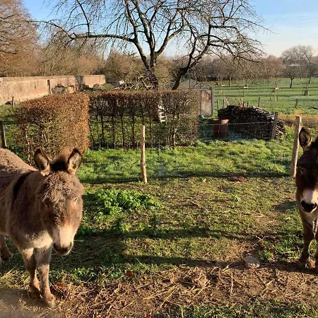 La Bergerie, A La Ferme, 3 Epis * Walcourt