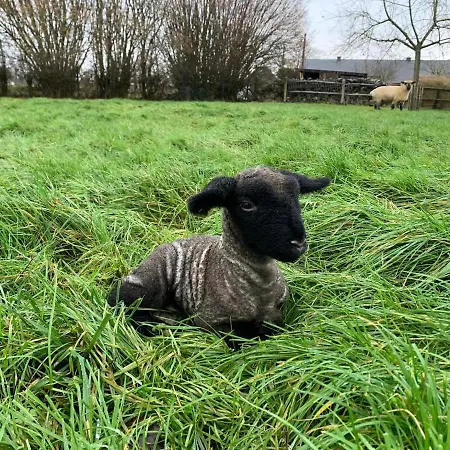 Semesterbostad La Bergerie, A La Ferme, 3 Epis Walcourt
