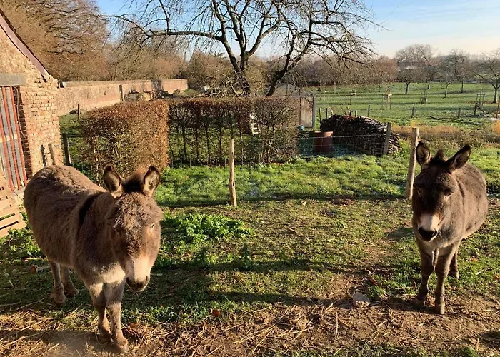 La Bergerie, A La Ferme, 3 Epis * Walcourt